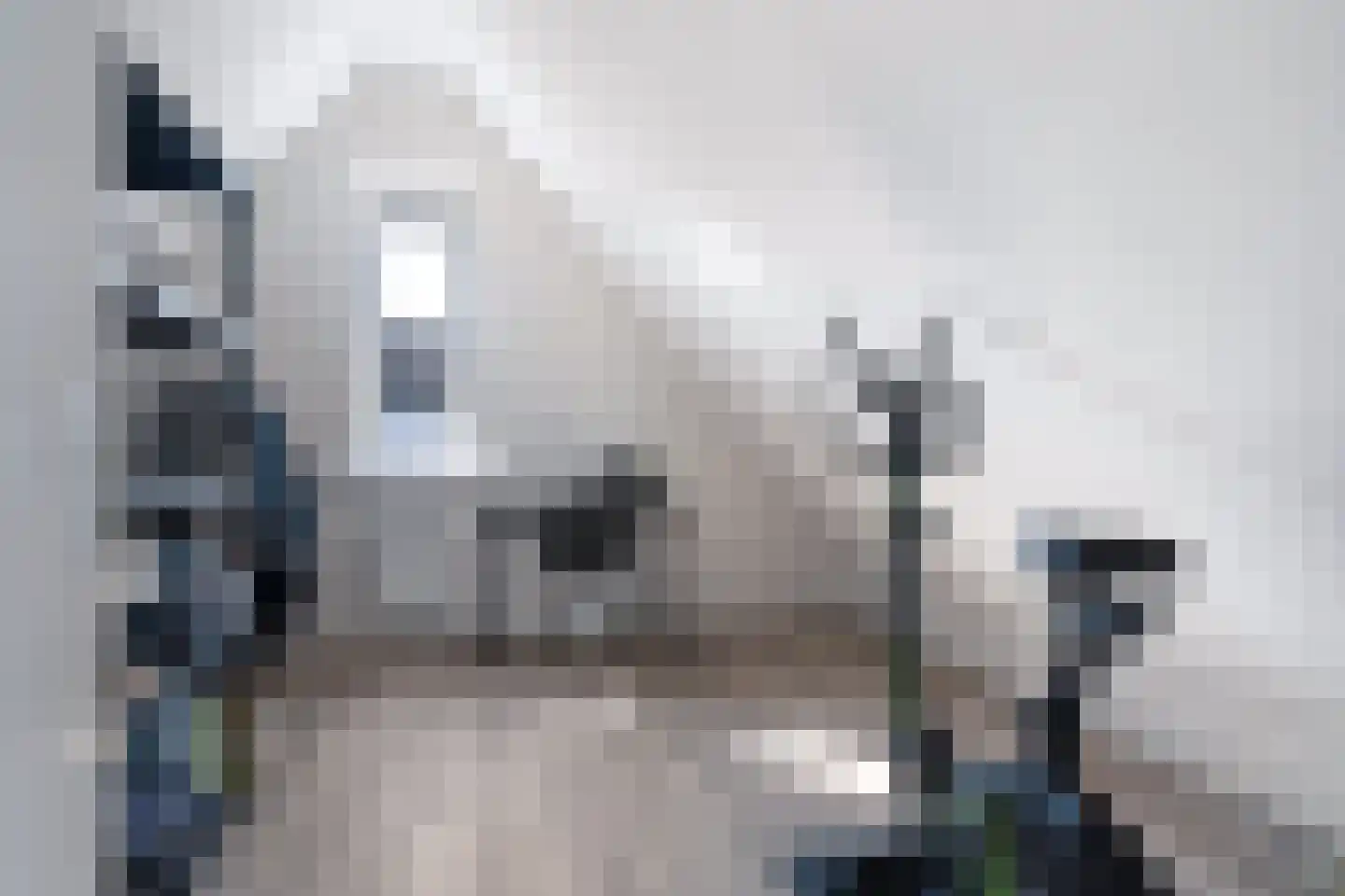 Kwekerijleane 3 D Berltsum thumbnail 31
