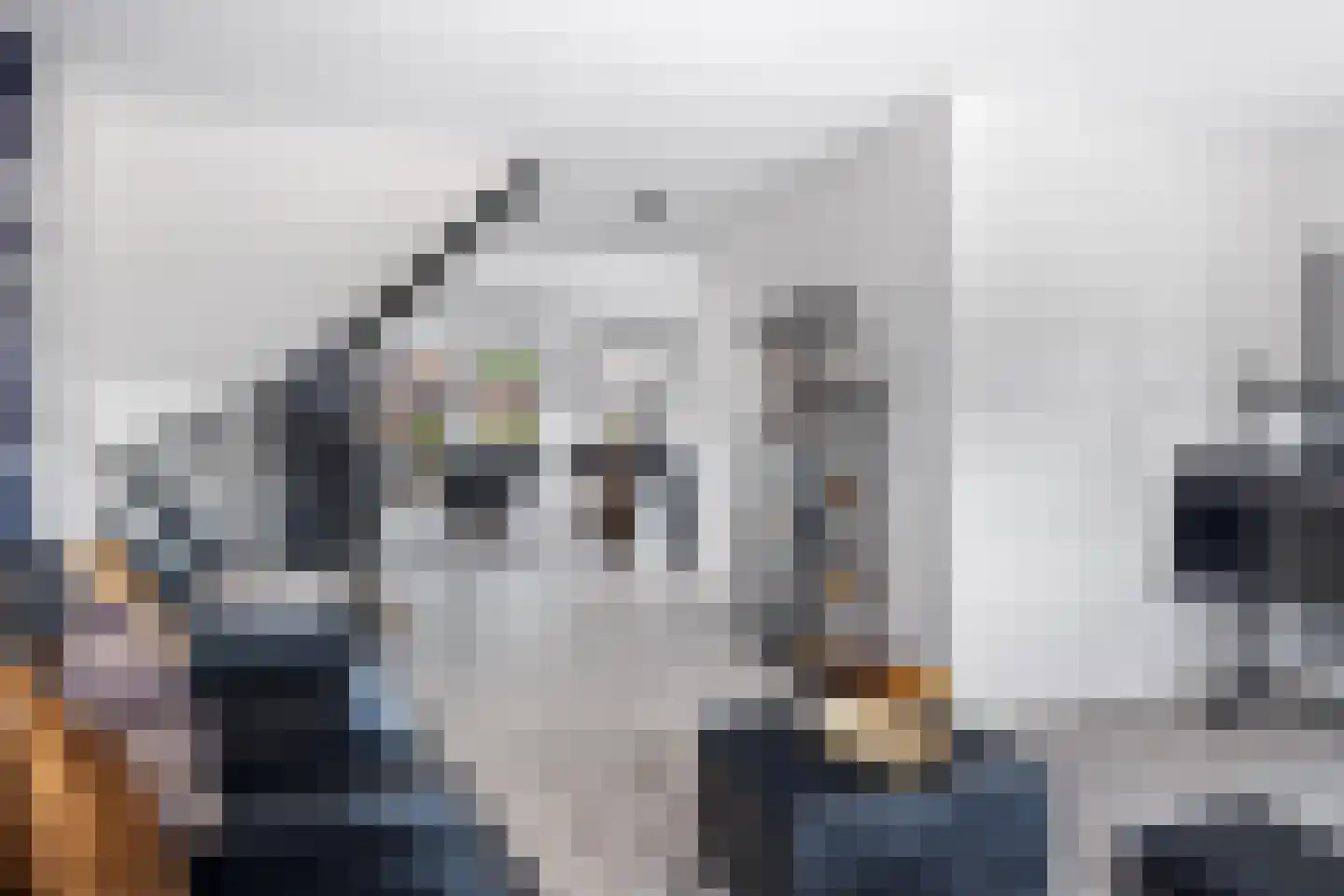 Kwekerijleane 3 D Berltsum thumbnail 4