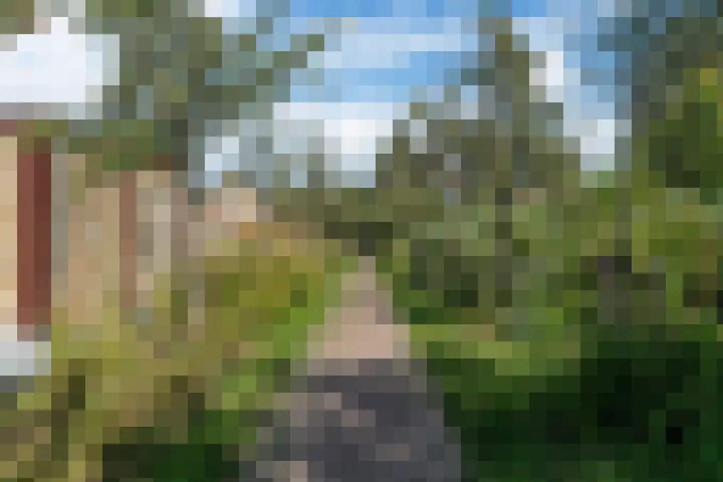 Kwekerijleane 3 D Berltsum thumbnail 42