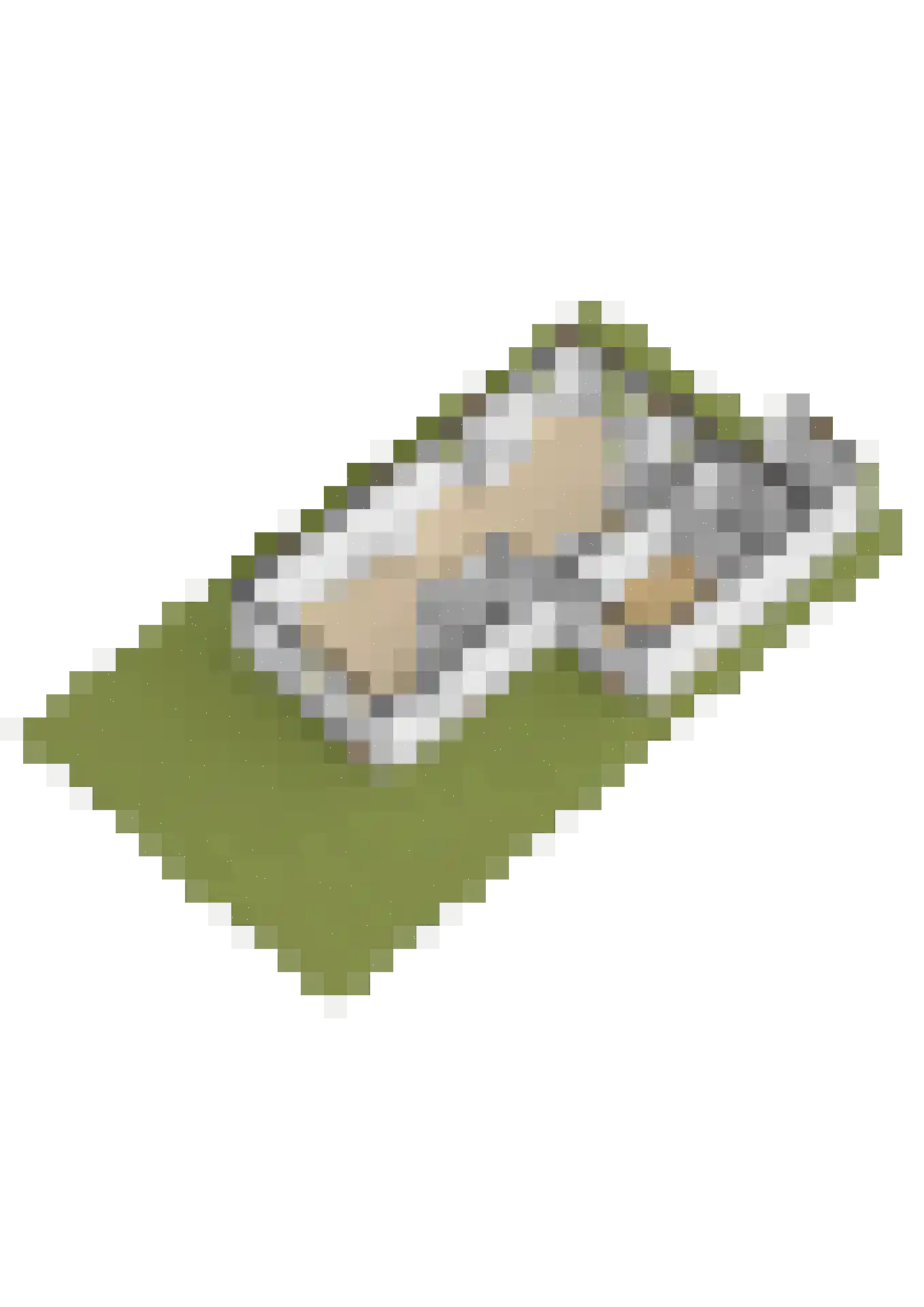 Kwekerijleane 3 D Berltsum thumbnail 50