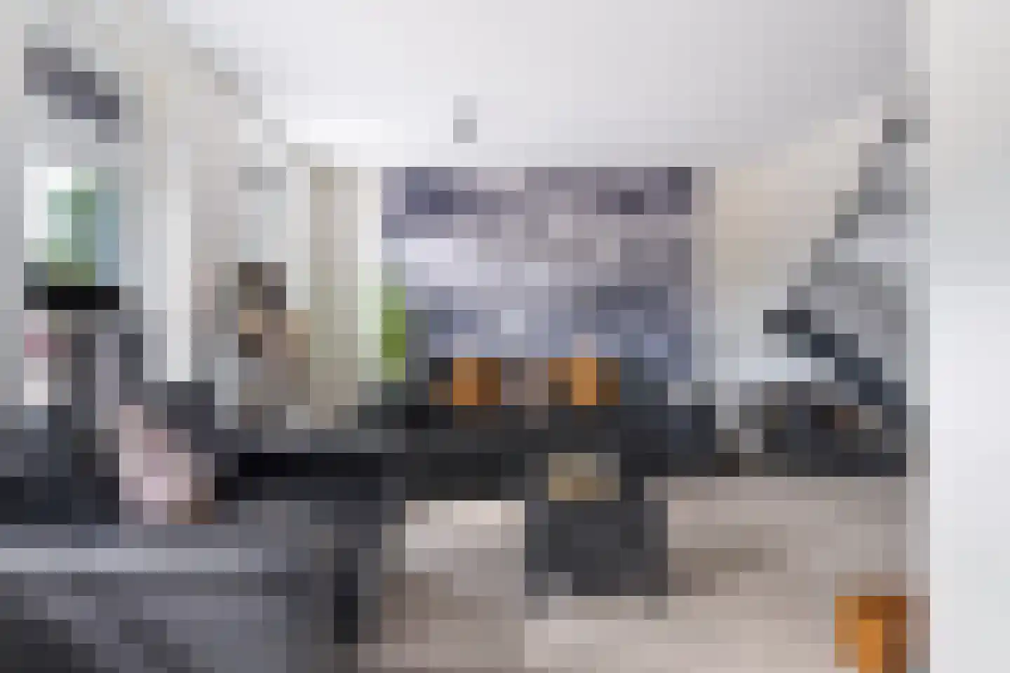 Kwekerijleane 3 D Berltsum thumbnail 6