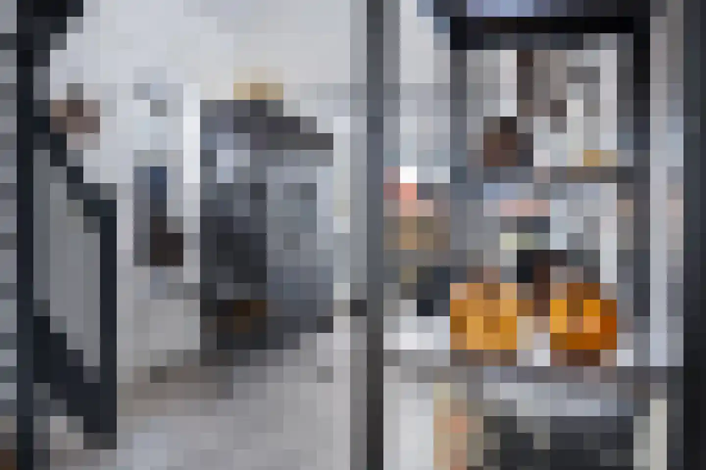 Kwekerijleane 3 D Berltsum thumbnail 8