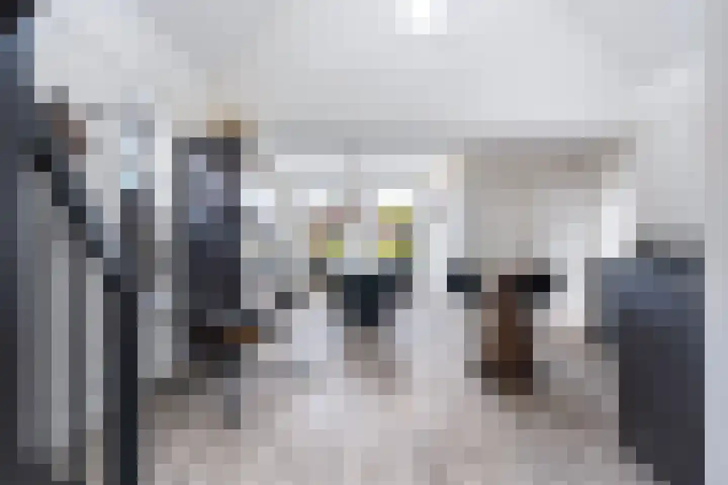 Kwekerijleane 3 D Berltsum thumbnail 9