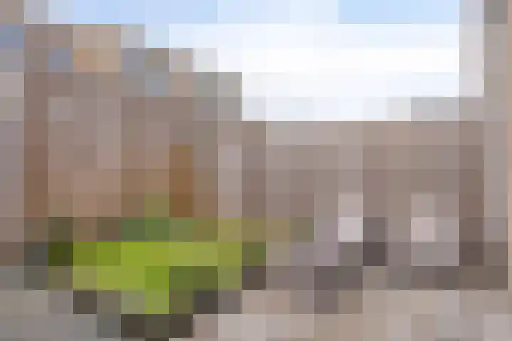 Kwekerijpad 17 Deventer thumbnail 10