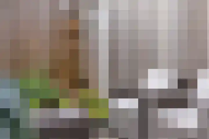 Kwekerijpad 17 Deventer thumbnail 11
