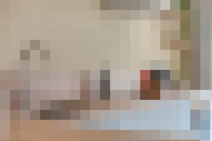 Kwekerijpad 17 Deventer thumbnail 17