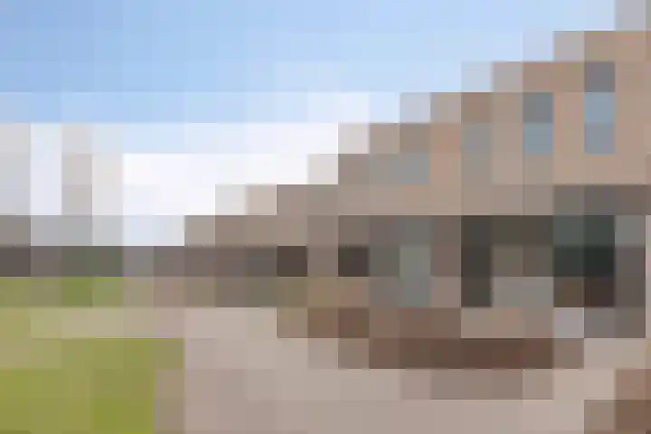 Kwekerijpad 17 Deventer thumbnail 30