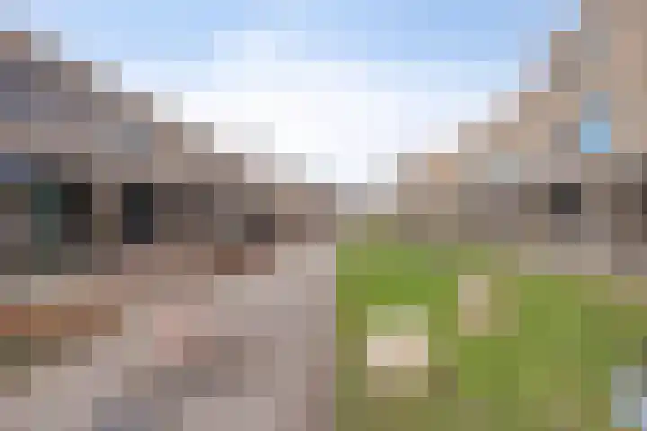 Kwekerijpad 17 Deventer thumbnail 31