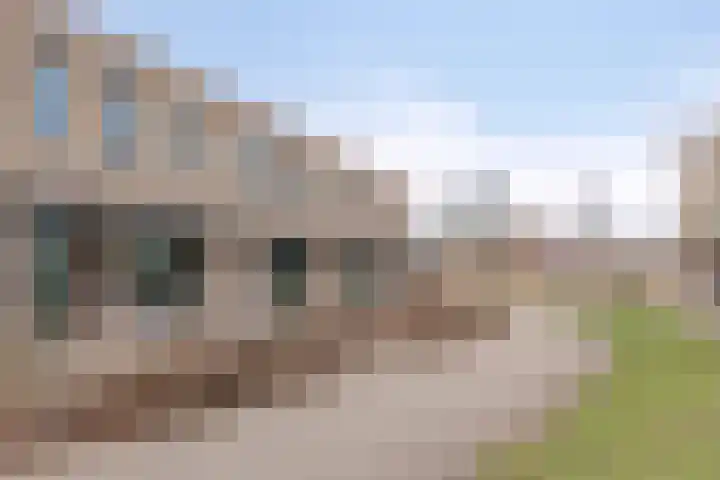 Kwekerijpad 17 Deventer thumbnail 32