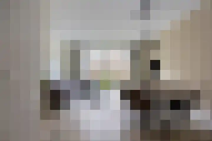 Kwekerijpad 17 Deventer thumbnail 6