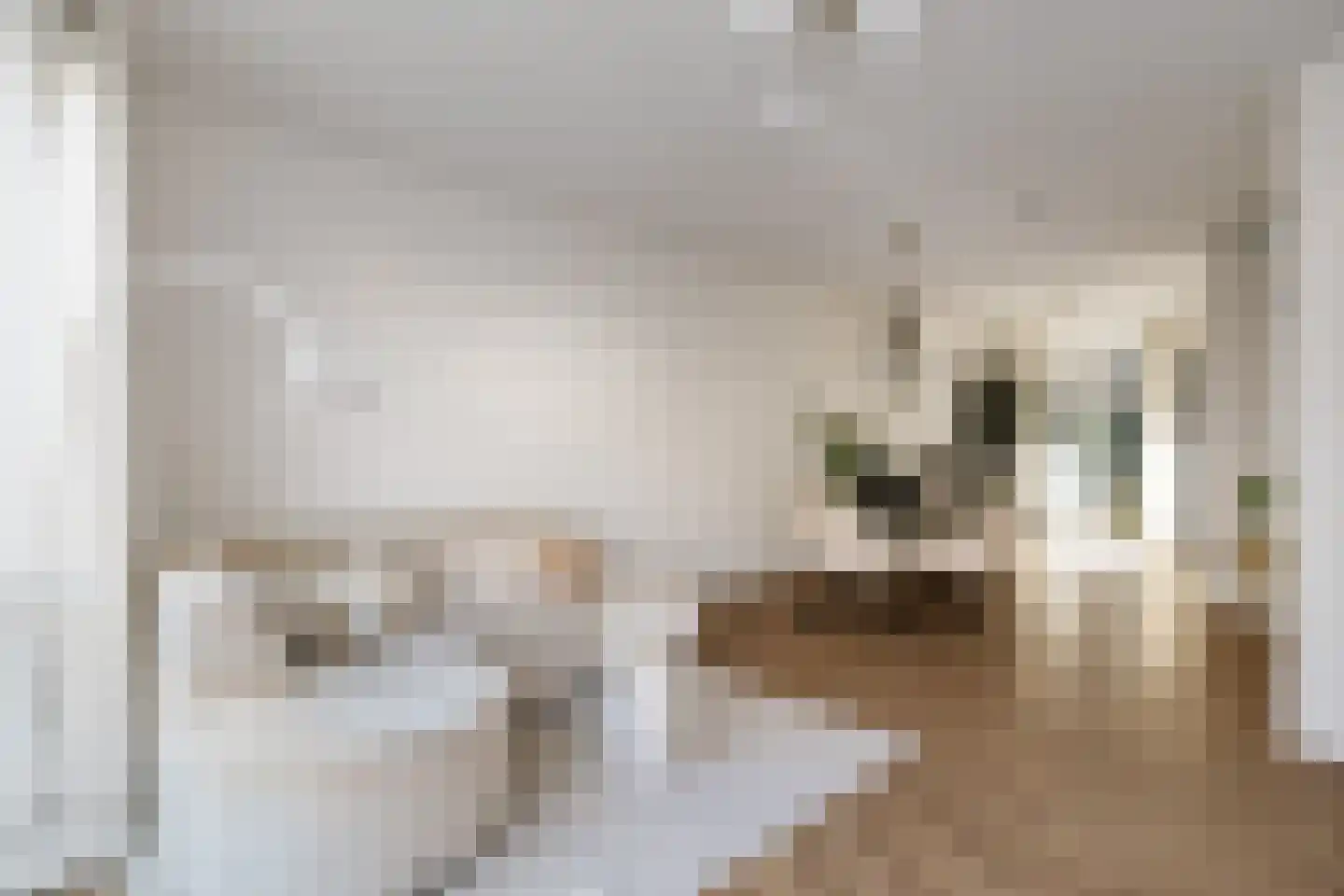 Kwekerijpad 21 Deventer thumbnail 11