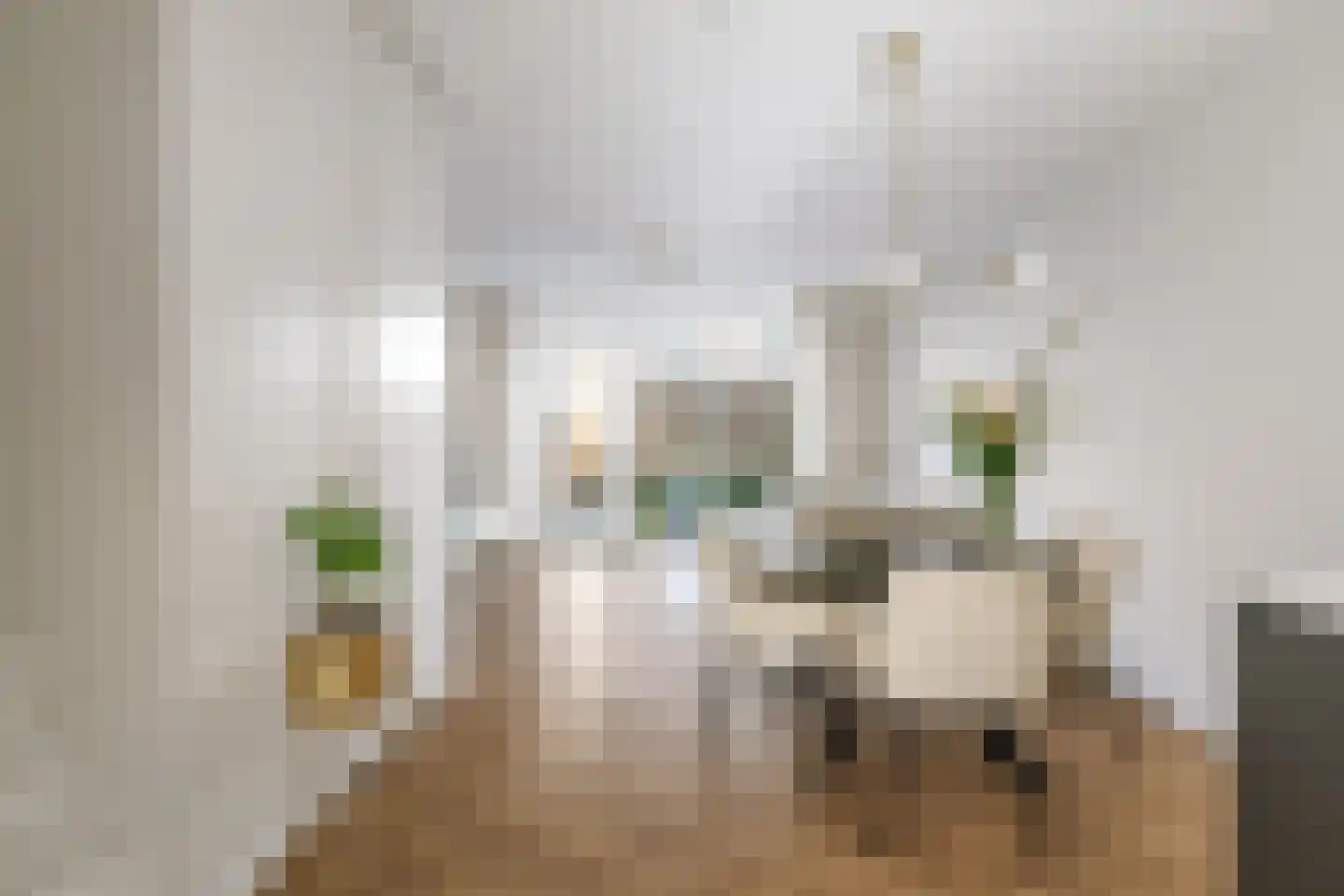 Kwekerijpad 21 Deventer thumbnail 18