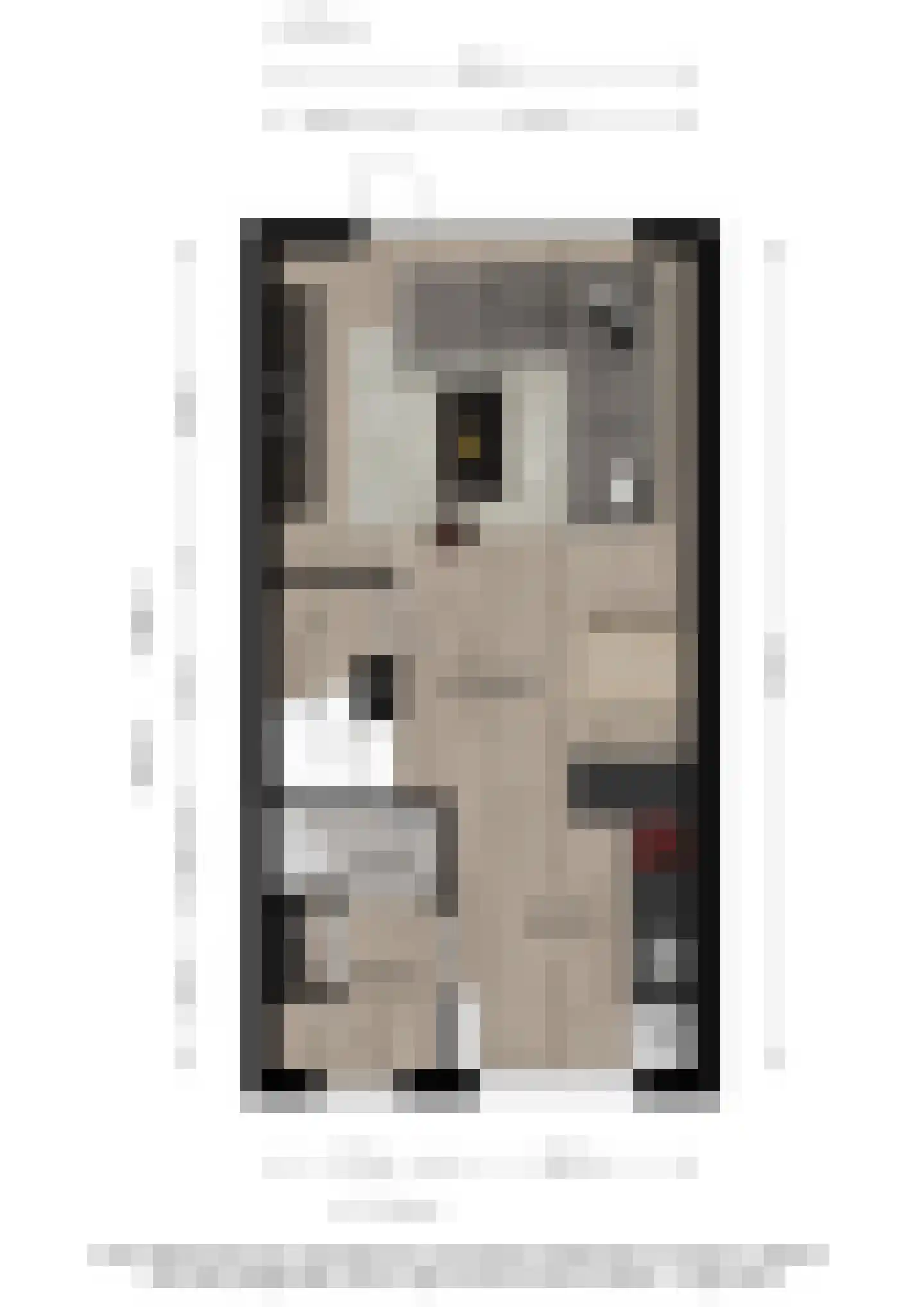 Kwekerijpad 21 Deventer thumbnail 35