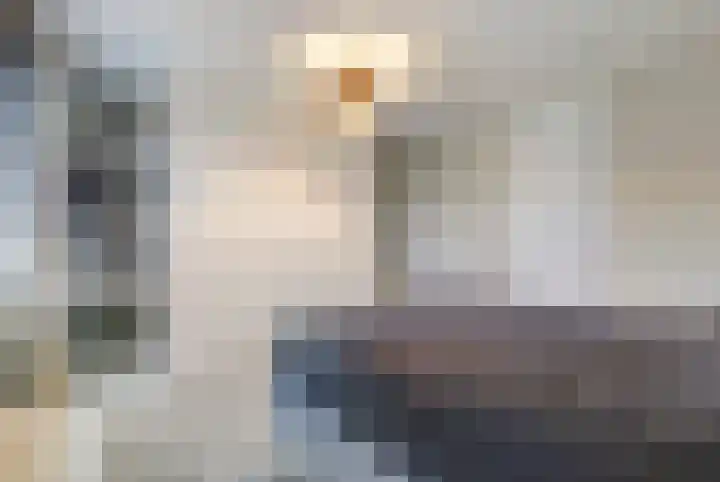 Kwekerijpad 22 Deventer thumbnail 18