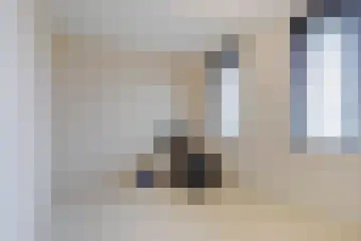 Kwekerijpad 22 Deventer thumbnail 19
