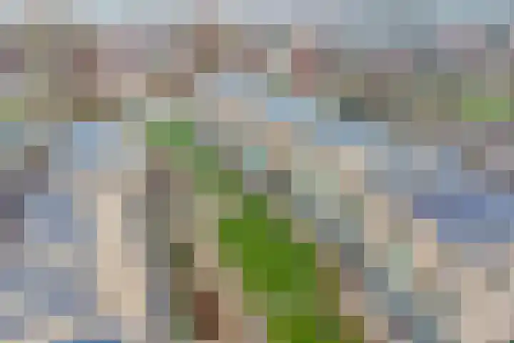 Kwekerijpad 22 Deventer thumbnail 37