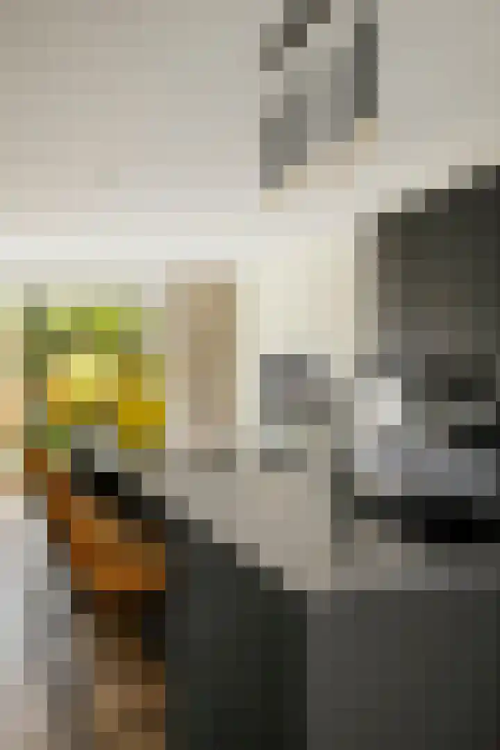 Kwekerijpad 24 Deventer thumbnail 12