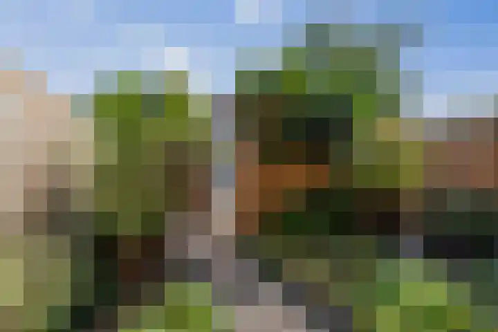 Kwekerijpad 24 Deventer thumbnail 16