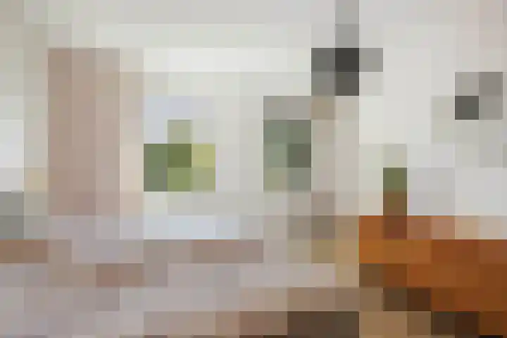 Kwekerijpad 24 Deventer thumbnail 25