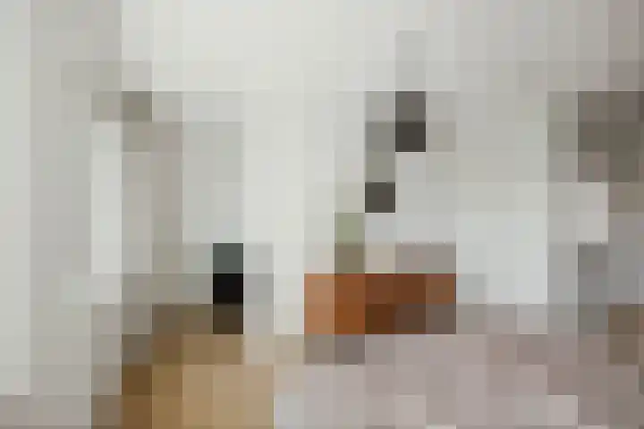 Kwekerijpad 24 Deventer thumbnail 26