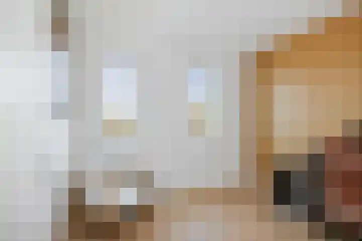 Kwekerijpad 24 Deventer thumbnail 29