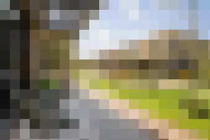 Kwekerijpad 24 Deventer thumbnail 33