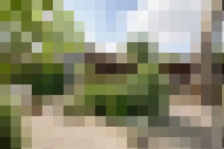 Kwekerijpad 28 Deventer thumbnail 26