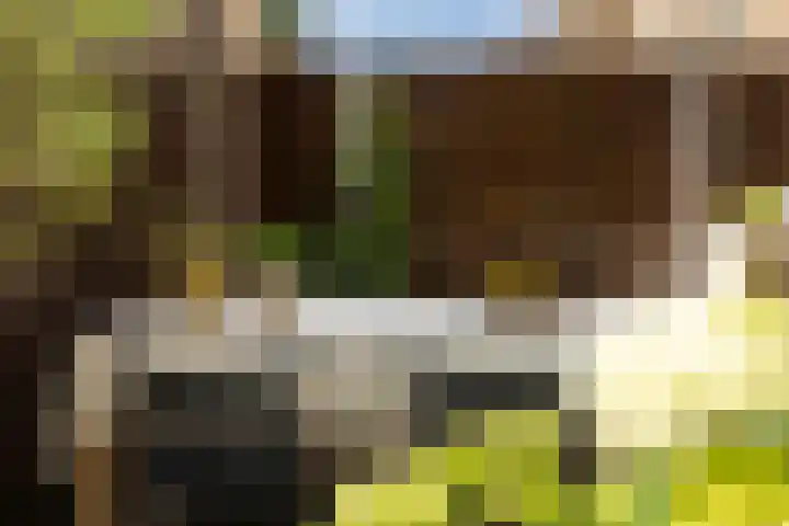 Kwekerijpad 28 Deventer thumbnail 27