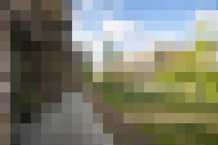 Kwekerijpad 28 Deventer thumbnail 29