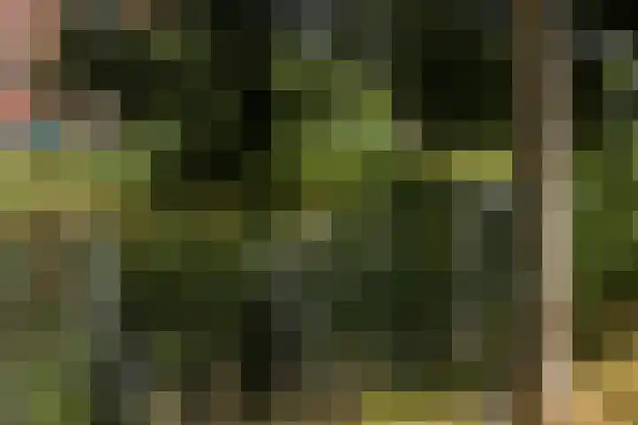 Kwekerijpad 28 Deventer thumbnail 31