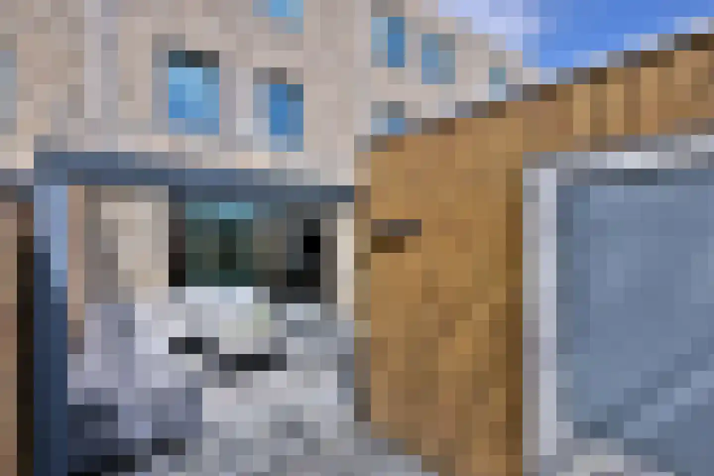 Kwekerijpad 6 Deventer thumbnail 11