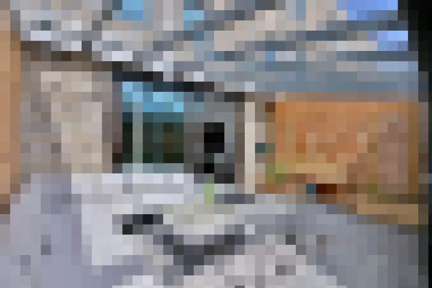 Kwekerijpad 6 Deventer thumbnail 12