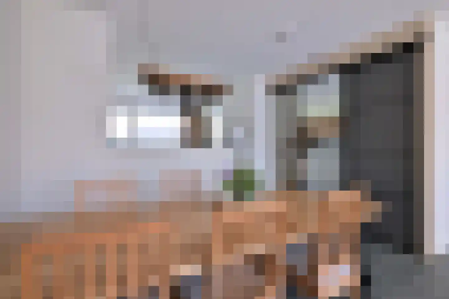 Kwekerijpad 6 Deventer thumbnail 14