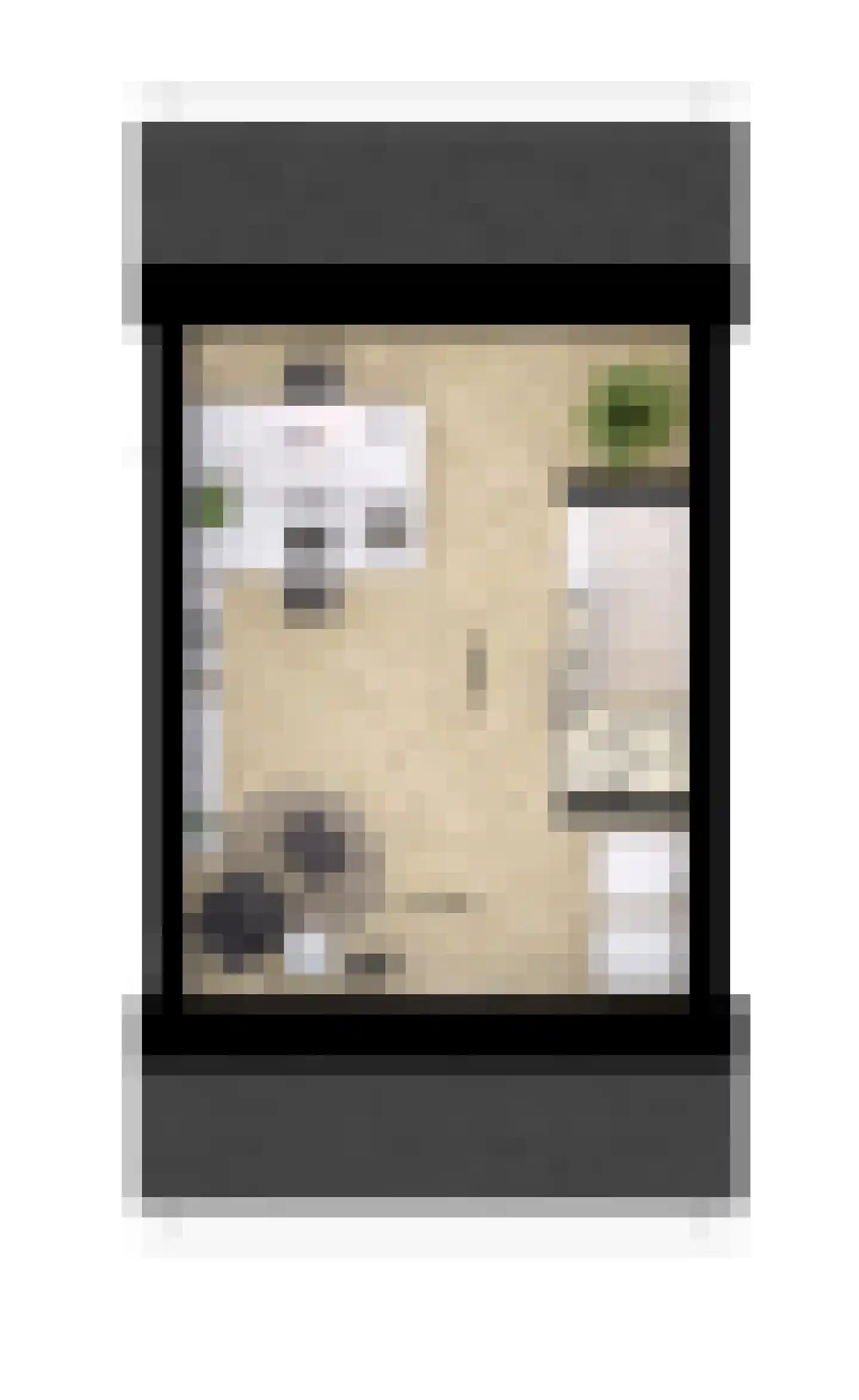 Kwekerijstraat 11 Breda thumbnail 5