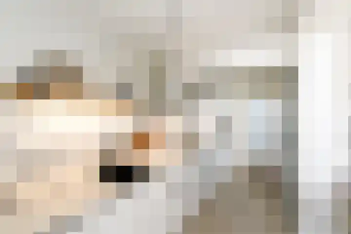Kwekerijstraat 13 Joure thumbnail 12