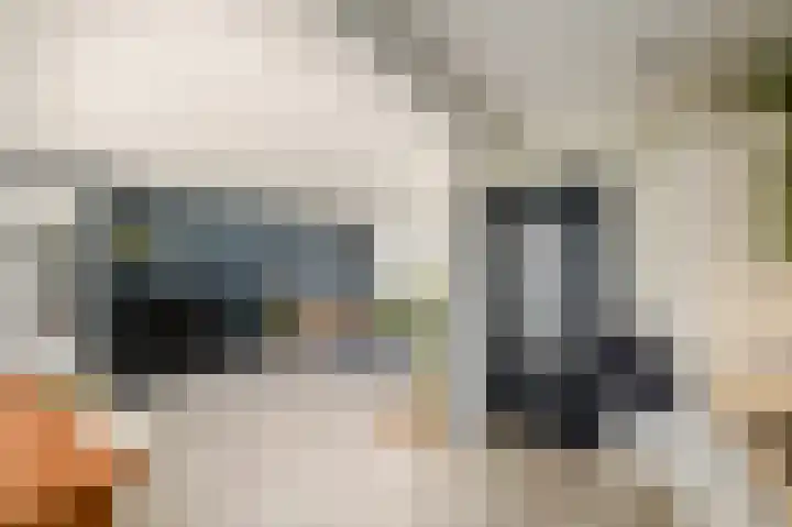 Kwekerijstraat 13 Joure thumbnail 13