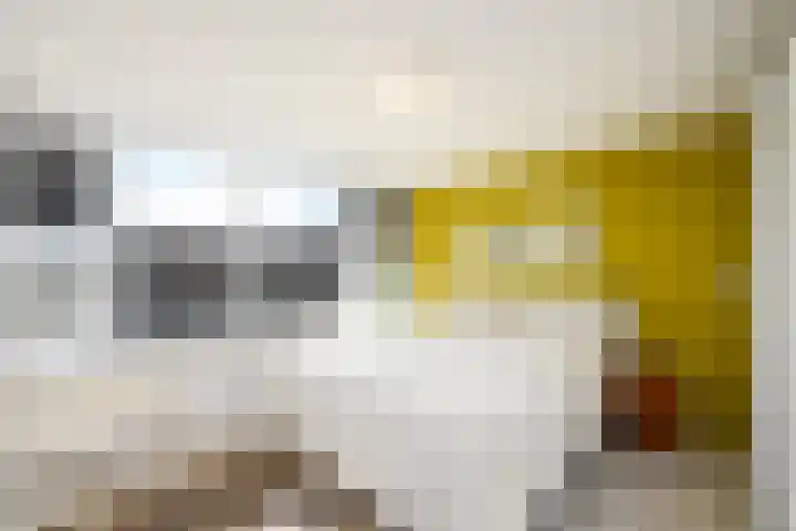 Kwekerijstraat 13 Joure thumbnail 17