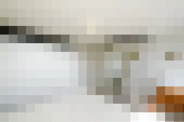Kwekerijstraat 13 Joure thumbnail 19