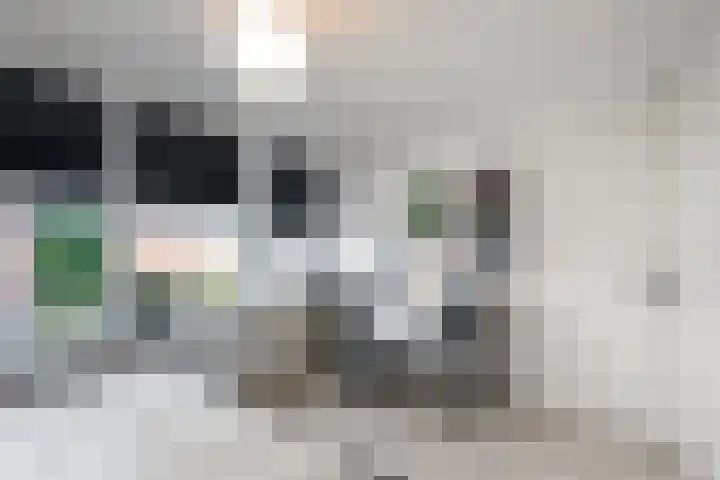 Kwekerijstraat 13 Joure thumbnail 21