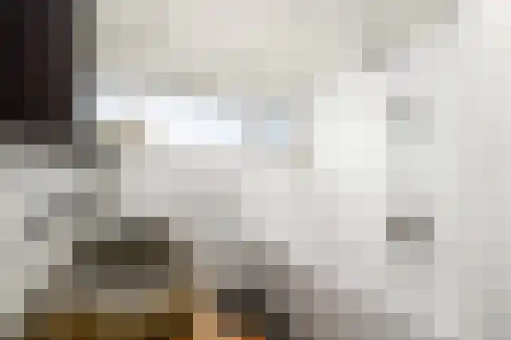 Kwekerijstraat 13 Joure thumbnail 22