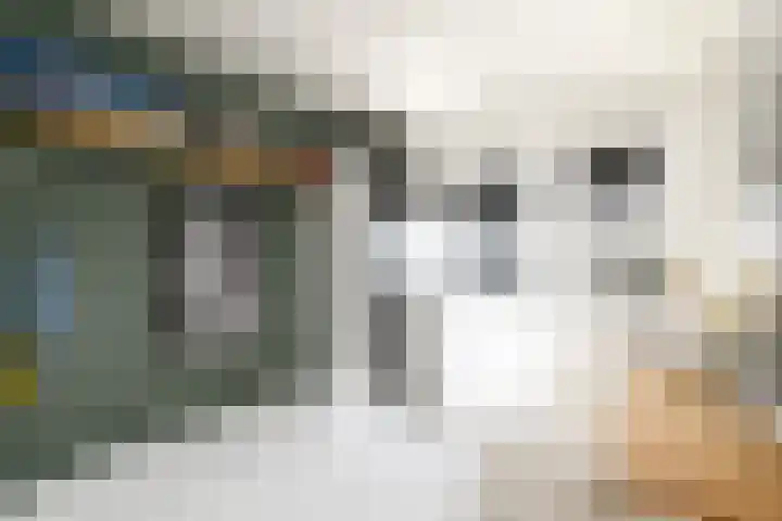 Kwekerijstraat 13 Joure thumbnail 25