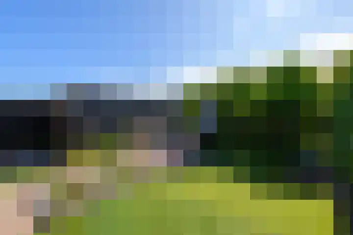 Kwekerijstraat 13 Joure thumbnail 32