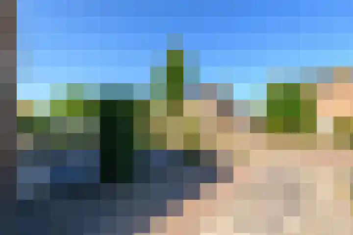 Kwekerijstraat 13 Joure thumbnail 36