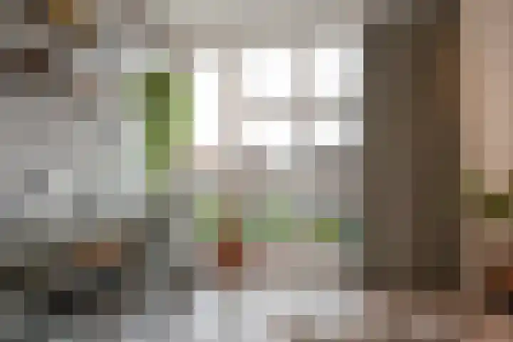 Kwekerijstraat 19 Delft thumbnail 37