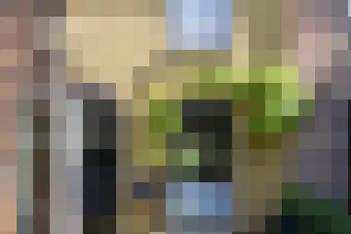Kwekerijstraat 19 Delft thumbnail 43