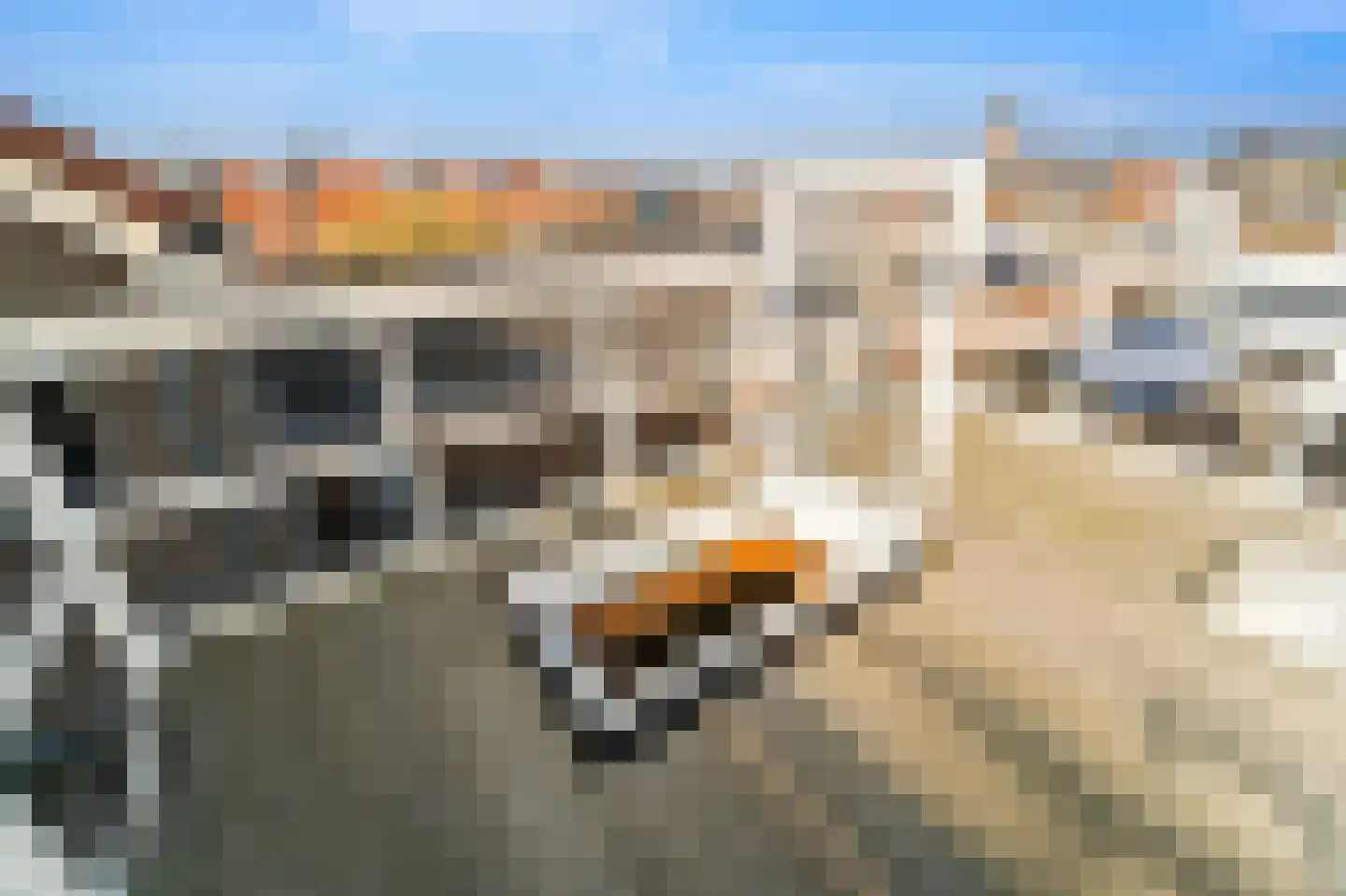 Kwekerijstraat 23 Delft thumbnail 22