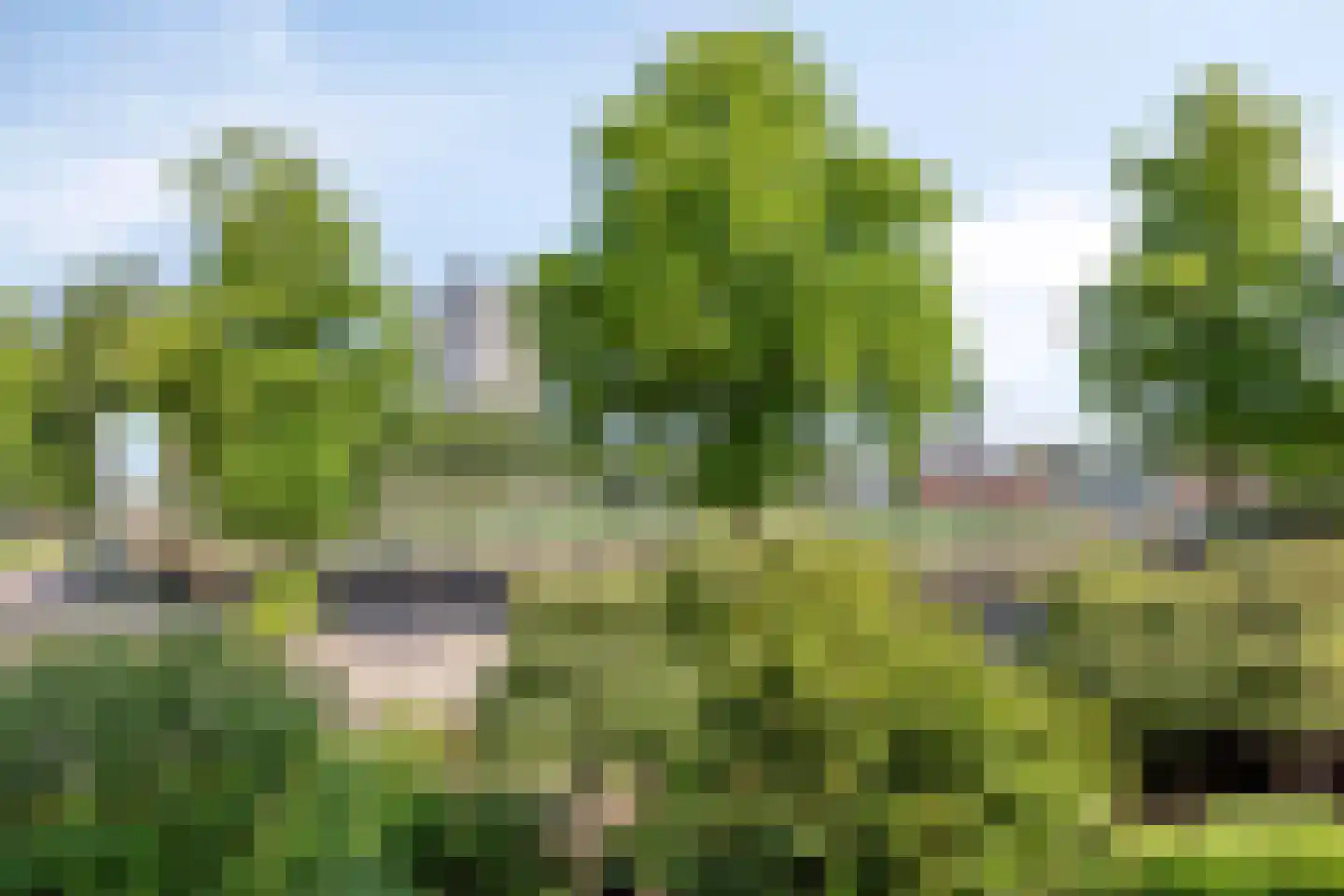 Kwekerijweg 77 Nijmegen thumbnail 20