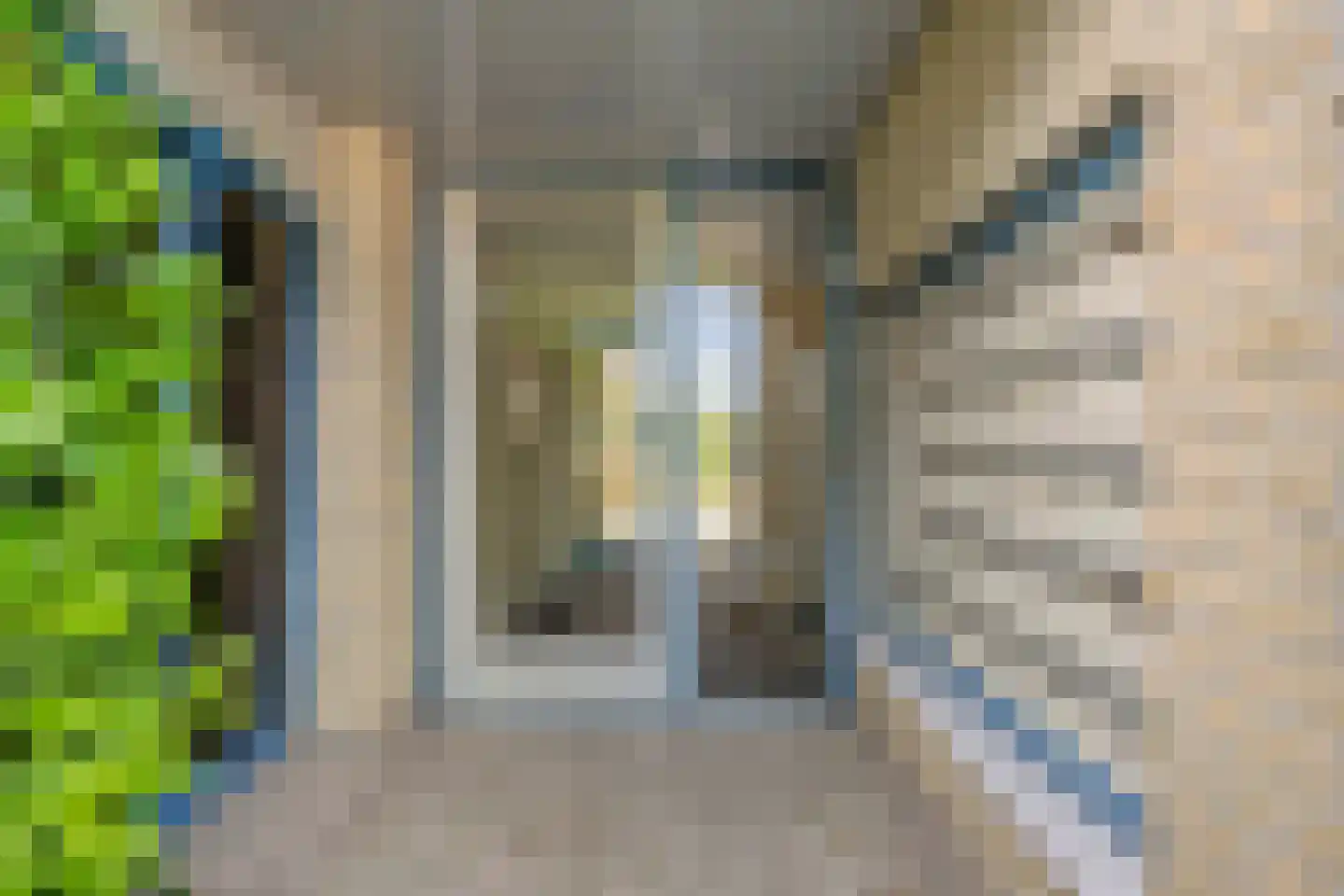 Kwekerijweg 77 Nijmegen thumbnail 9