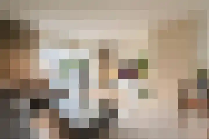 Kwekerssingel 10 Oudenbosch thumbnail 12