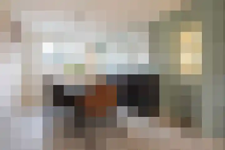 Kwekerssingel 10 Oudenbosch thumbnail 16